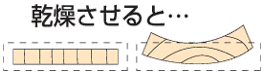 木材の乾燥と反り