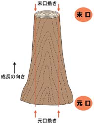 木もと竹うら