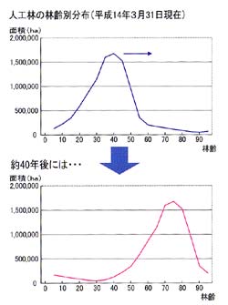 人工林の林齢別分布