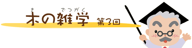 第3回 木の雑学