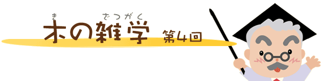 第4回 木の雑学