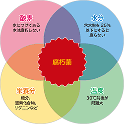 木が腐る4つの条件（酸素、水分、栄養分、温度）