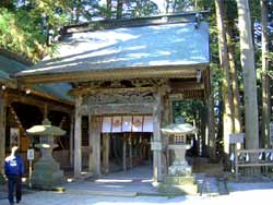 諏訪神社大欅