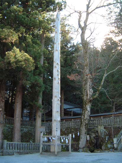 諏訪神社大欅