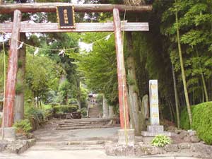 手野の大杉