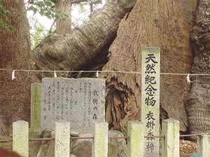 湯蓋の森