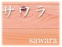 サワラ